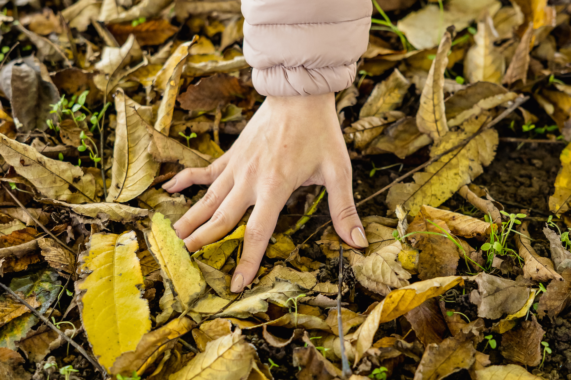 Eventi aziendali e team building nella natura